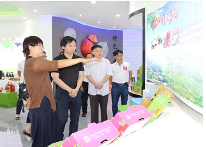 �������̿����������ۡ�ģʽ������ũ��ƷӪ��